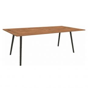 Stern Tisch 220x100cm Interno Rundrohr konisch Alum. schwarz matt/Tischplatte Teak